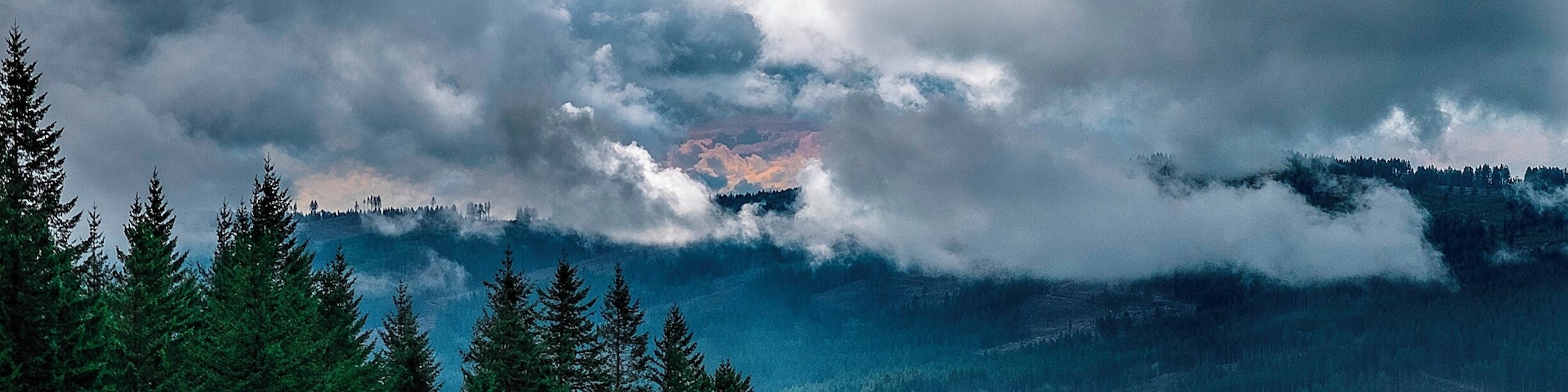 We had rain interspersed with cloud breaks today. About 2 miles back on the second 5-mile leg, the two prevailing weather systems pitched a dramatic battle in the western sky.