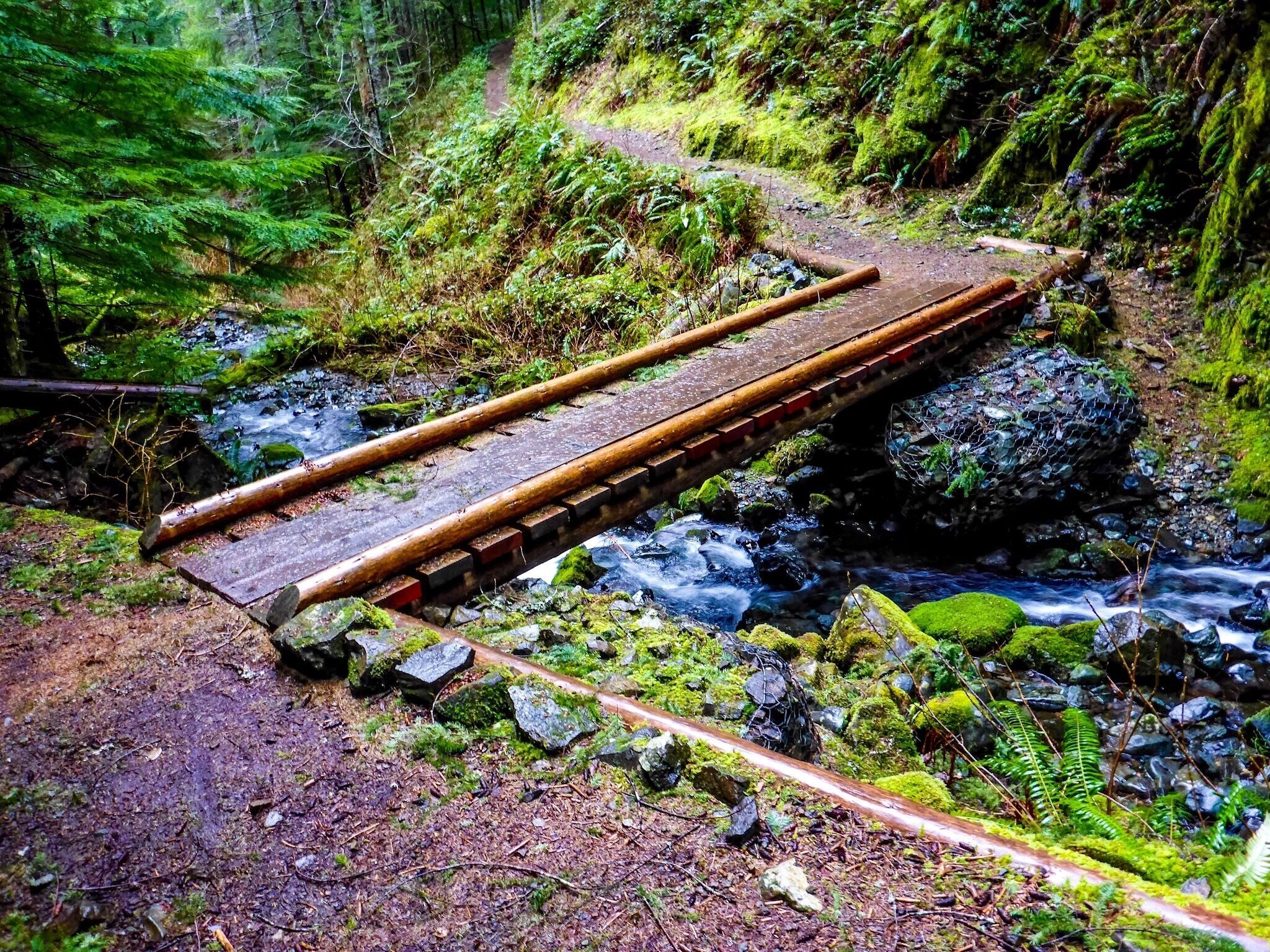 The bridge across the south fork of Coyote Creek at Hidden Falls.