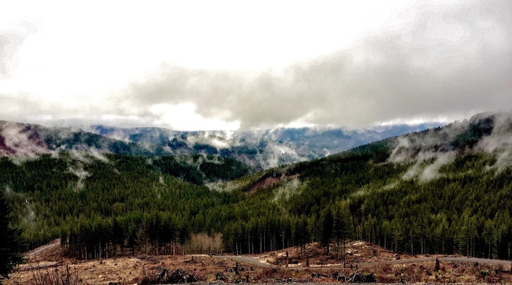 So, what's the draw to this place? How about mountain views from every open ridgeline?