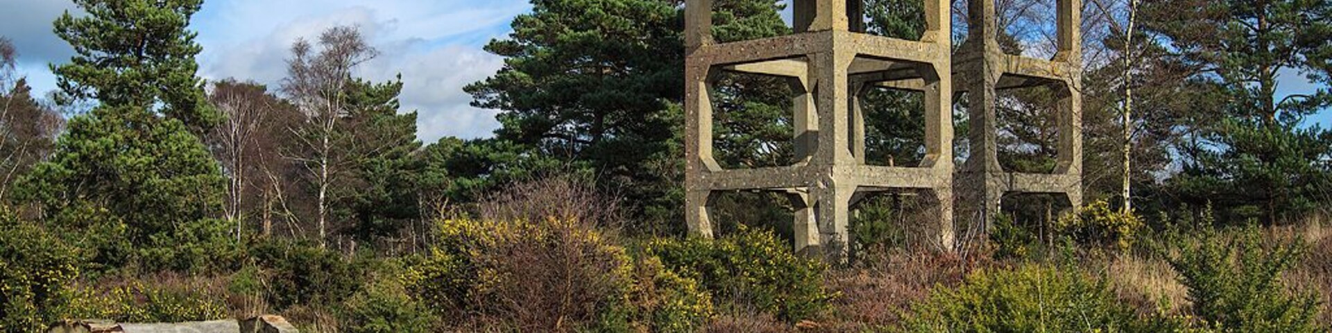 Defending Dorset: Holton Heath: Light Anti-Aircraft Battery - Bofors gun tower no. 1 (17)