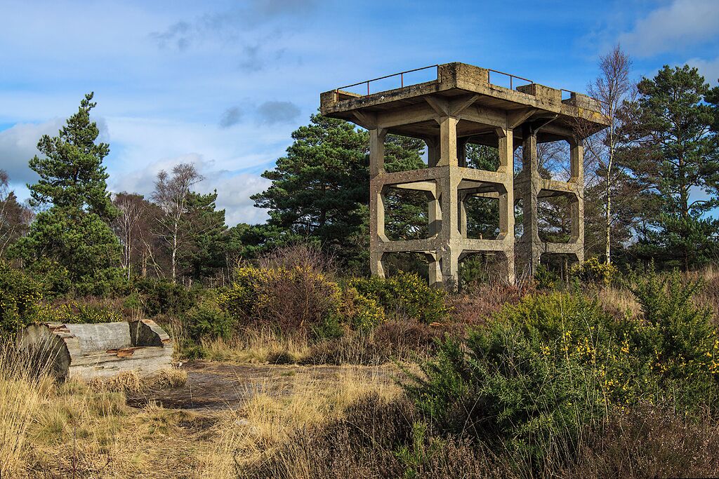A concrete structure with a metal railing, surrounded by trees and vegetation.