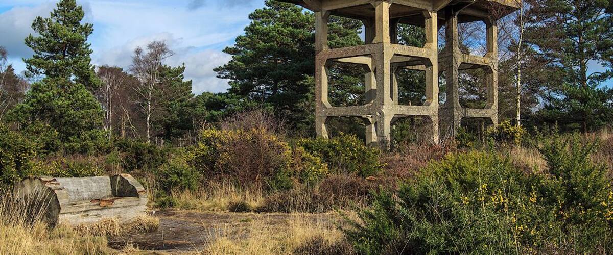 A concrete structure with a metal railing, surrounded by trees and vegetation.
