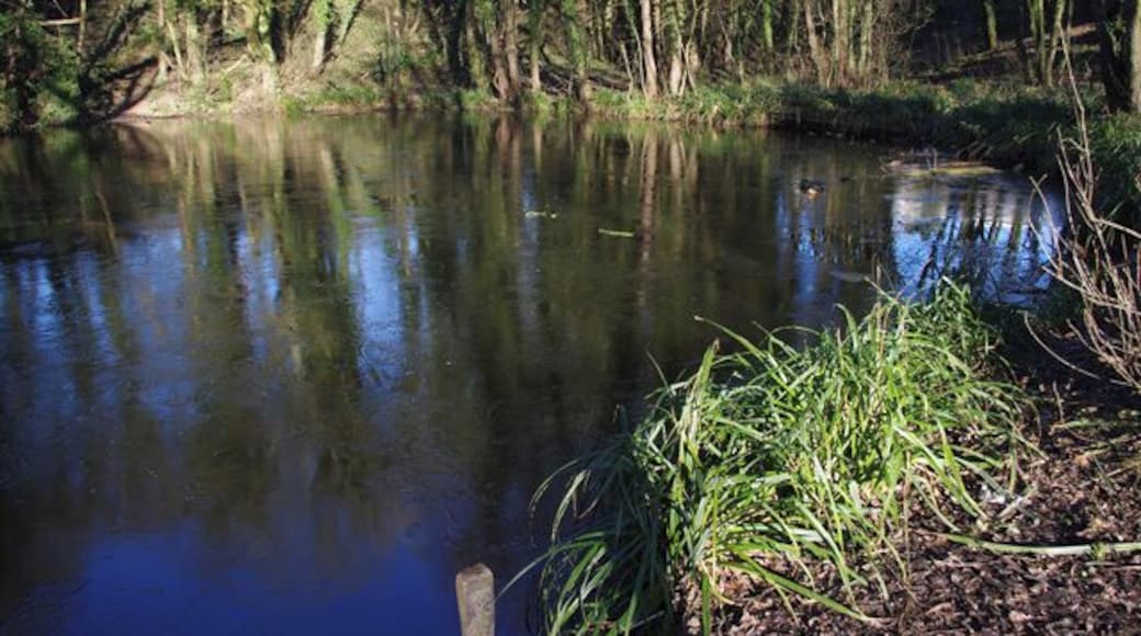 Capernwray Arm, Lancaster Canal The small basin at the end of the arm. The quarry it served is to the right, and is now woodland. See http://www.lctrust.co.uk/pages/the-canal/virtual-cruise/tewitfield.php