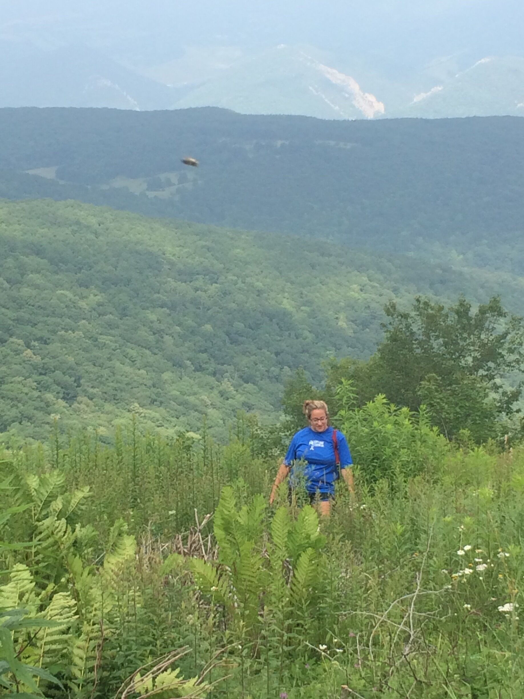 Not sure what this flying object is that I captured.... Leaving me curious!