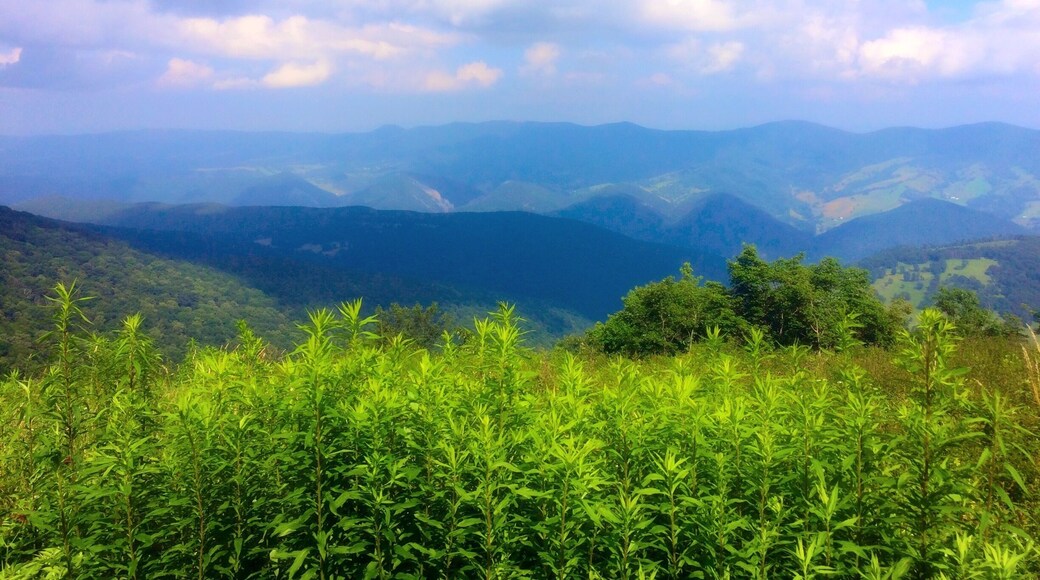 And the sun finally comes out.