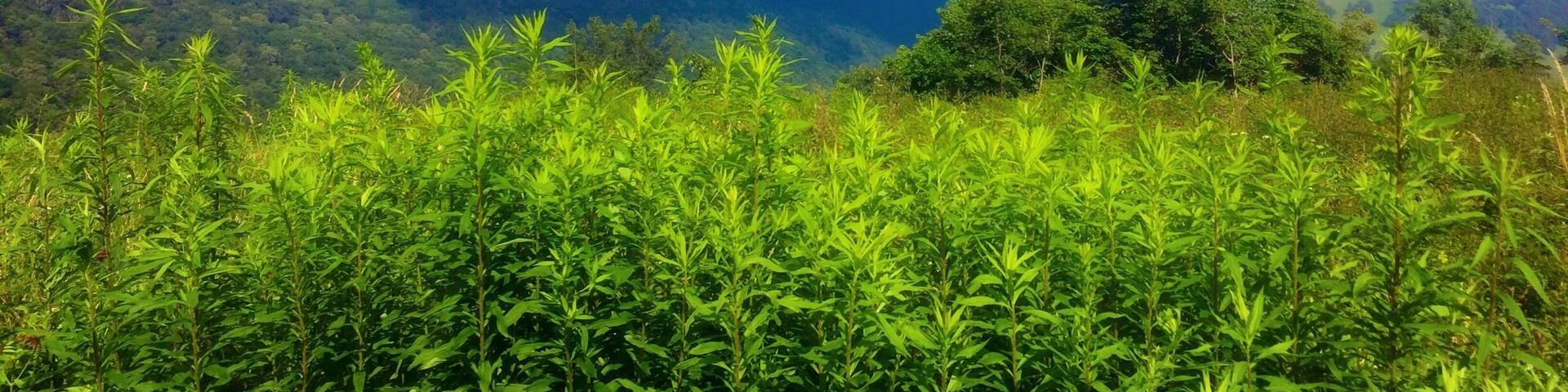 And the sun finally comes out.