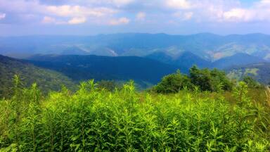 And the sun finally comes out.