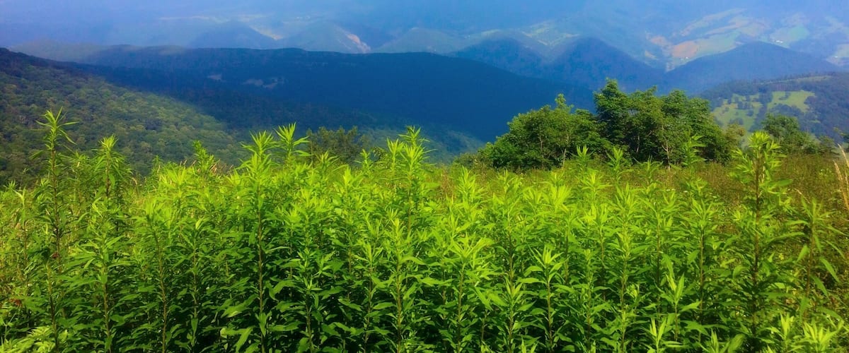 A mountainous landscape with lush green vegetation and distant hills under a partly cloudy sky.