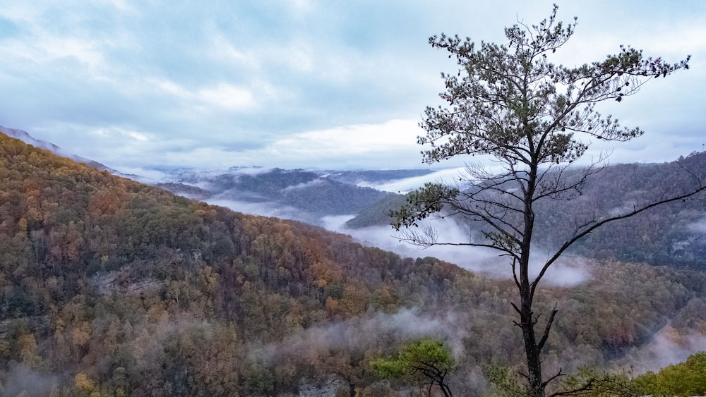 Breaks Interstate Park scenic destination