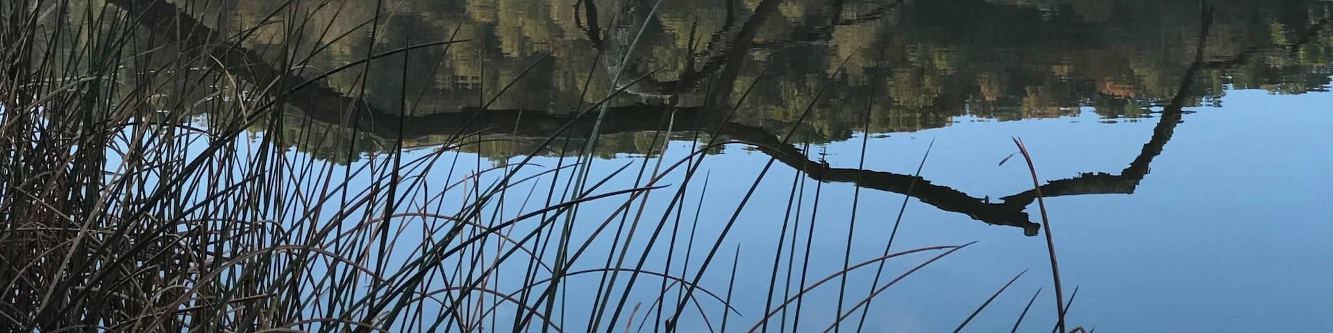 Big Ditch Lake , Cowen West Virginia