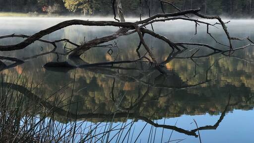 Big Ditch Lake , Cowen West Virginia