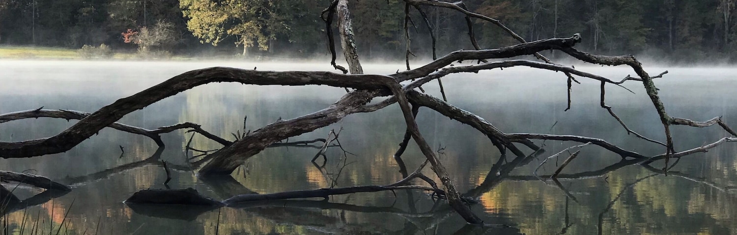 Big Ditch Lake , Cowen West Virginia