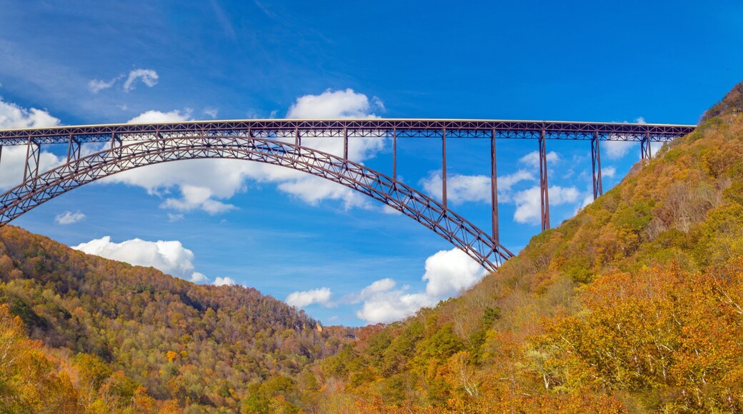 ดันมอร์