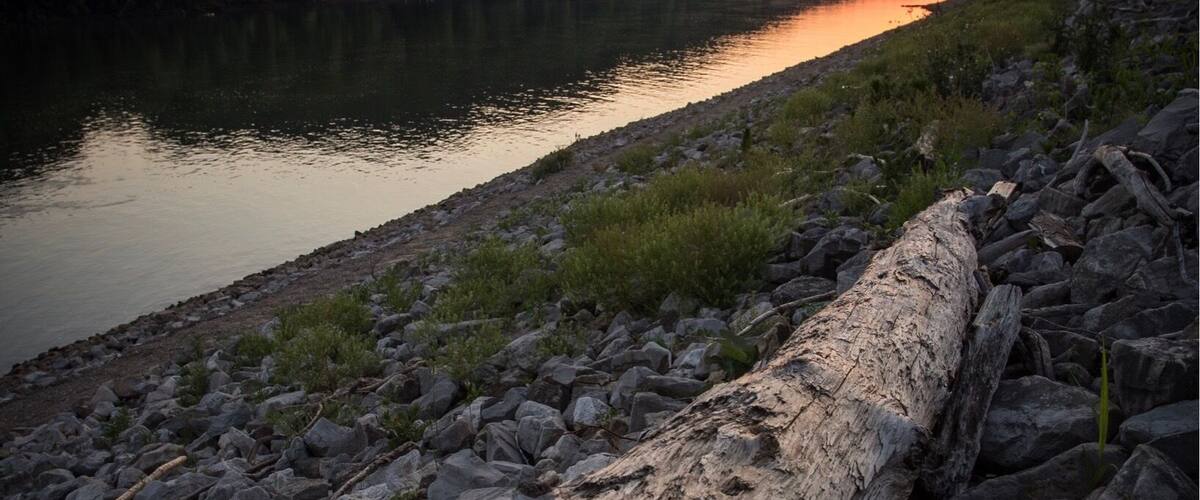 A riverbank with a fallen log, rocks, and a forested hill during sunset.