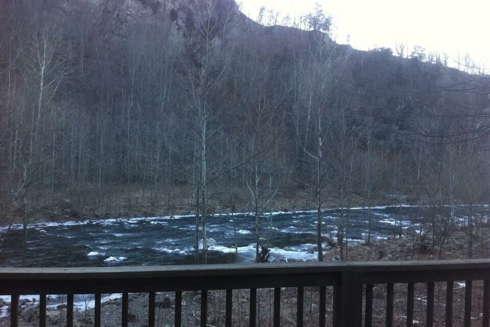 A river flowing through a forested area with a rocky riverbank and a wooden deck in the foreground.