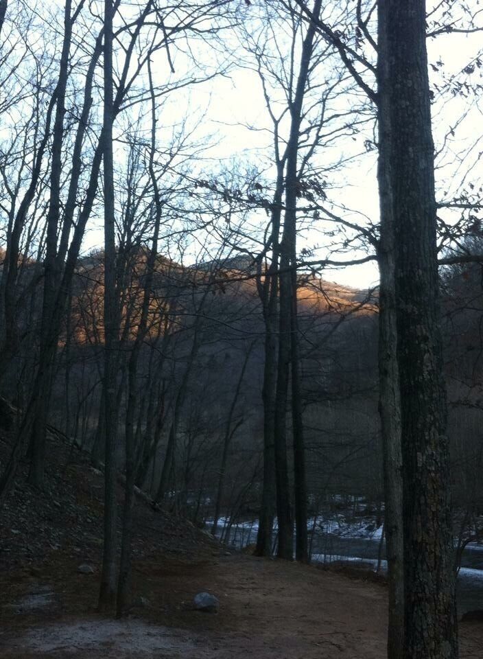 Harman Cabins WV. Trout fishing and luxurious cabins for a relaxing getaway.