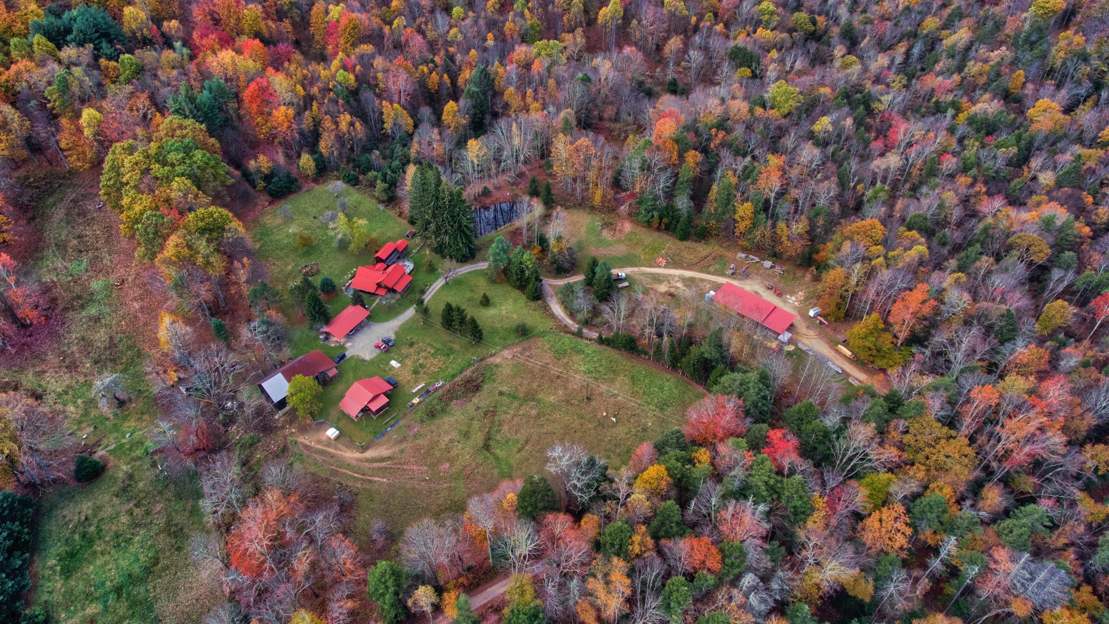 An aerial view of a rural area with red-roofed buildings surrounded by a forest with autumn foliage.
