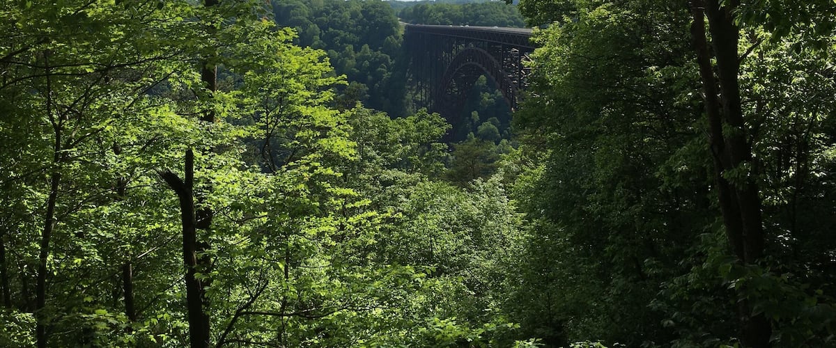 New river gorge 2016