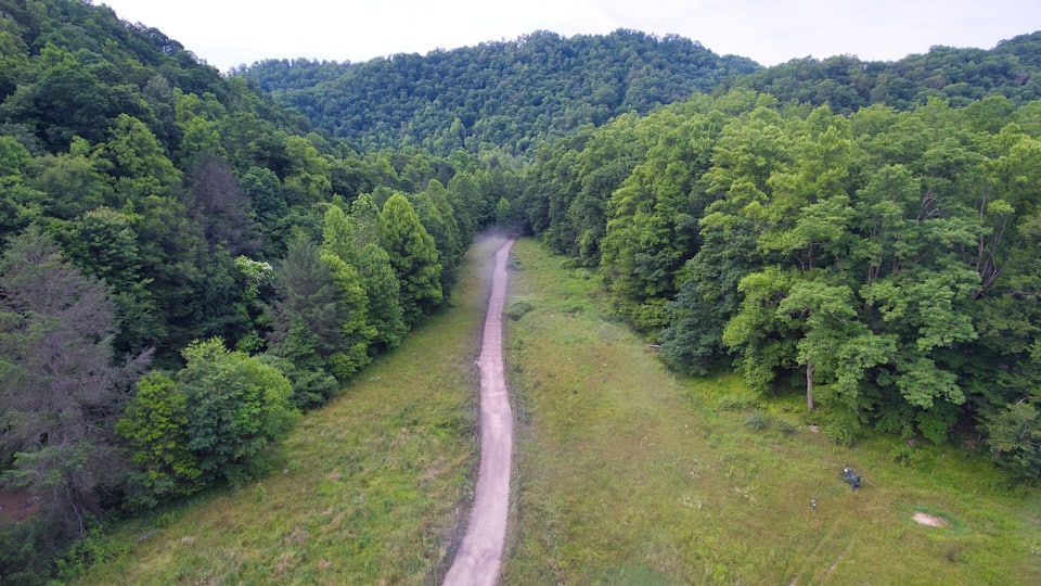 A dirt road winding through a forested valley with dense green trees on both sides.