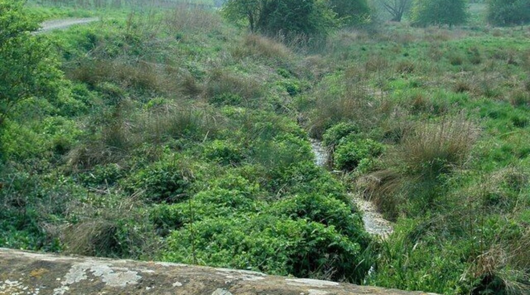 Footpath and brook Viewed from the road bridge over the River Dorn.