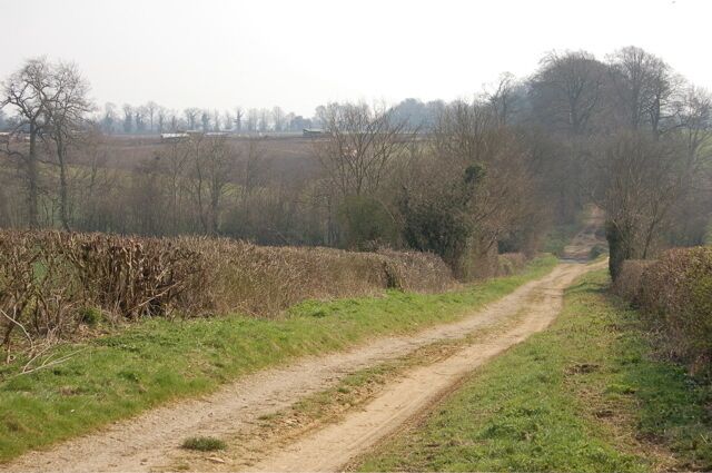 A rural dirt road flanked by fields and trees.