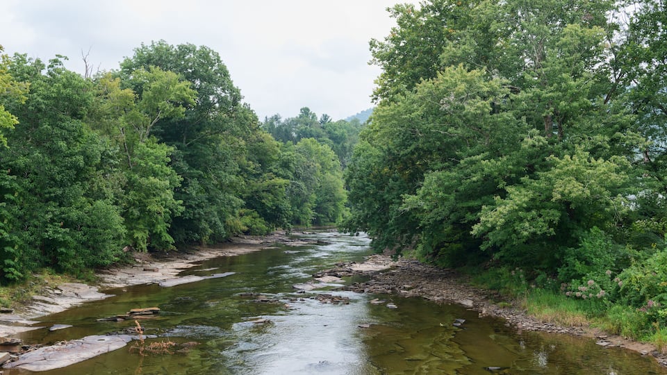 A river flowing through a densely wooded area with trees on both sides.