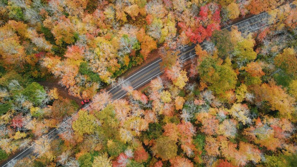 An aerial view of a road winding through a forest with autumn foliage.