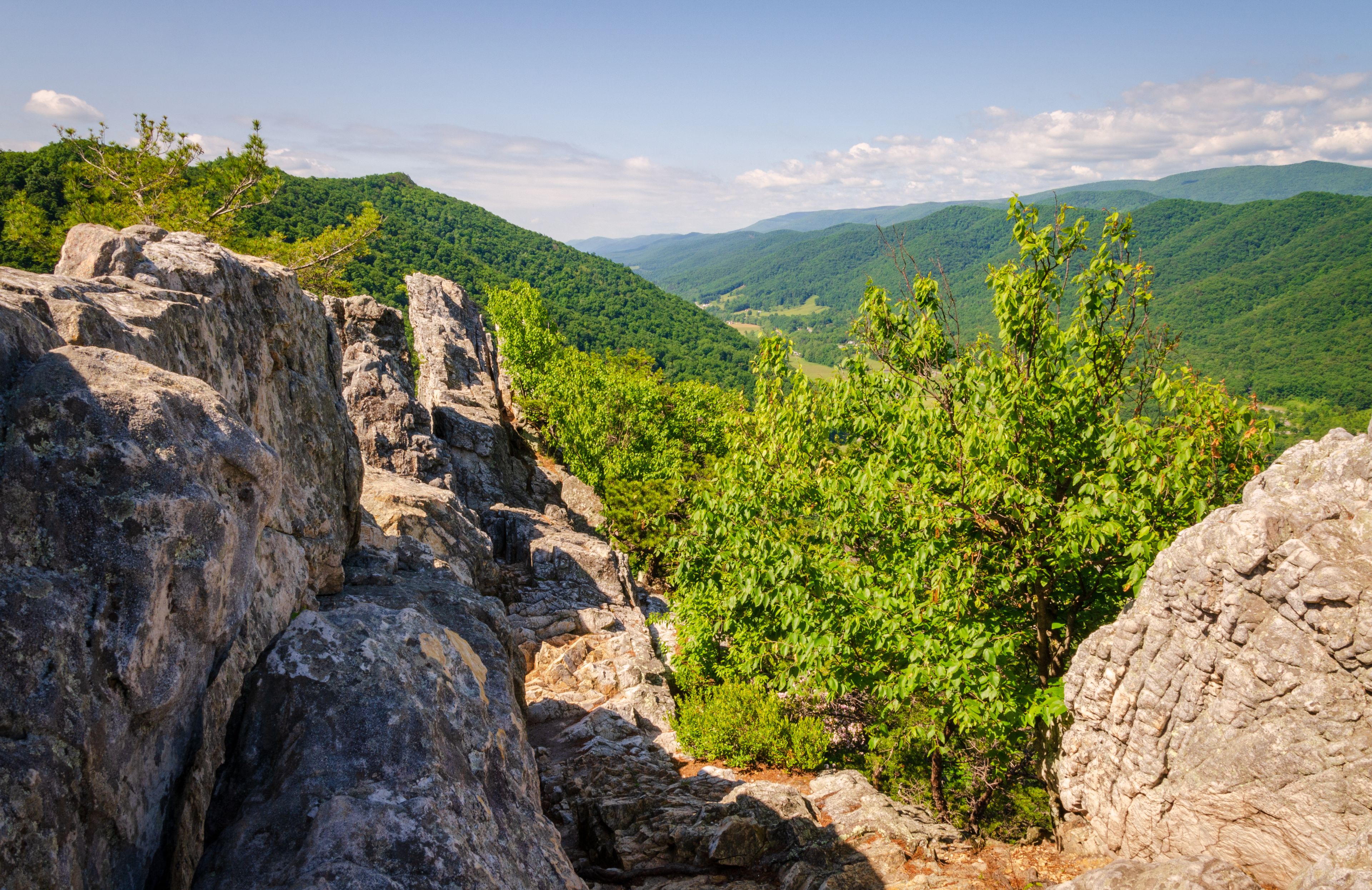 The Seneca Rocks, Rock Climbing Destination Spruce Knob-Seneca Rocks National Recreation Area, Park in Riverton, West Virginia