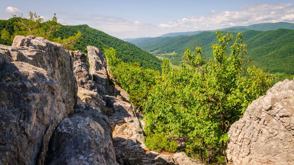 A mountainous landscape with rocky outcrops and dense green foliage.
