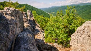 The Seneca Rocks, Rock Climbing Destination Spruce Knob-Seneca Rocks National Recreation Area, Park in Riverton, West Virginia