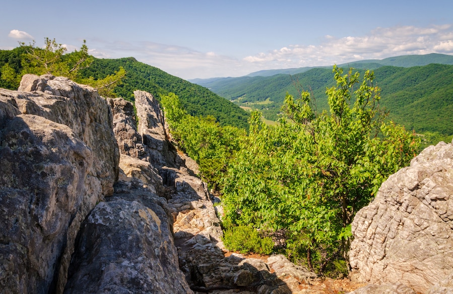 The Seneca Rocks, Rock Climbing Destination Spruce Knob-Seneca Rocks National Recreation Area, Park in Riverton, West Virginia