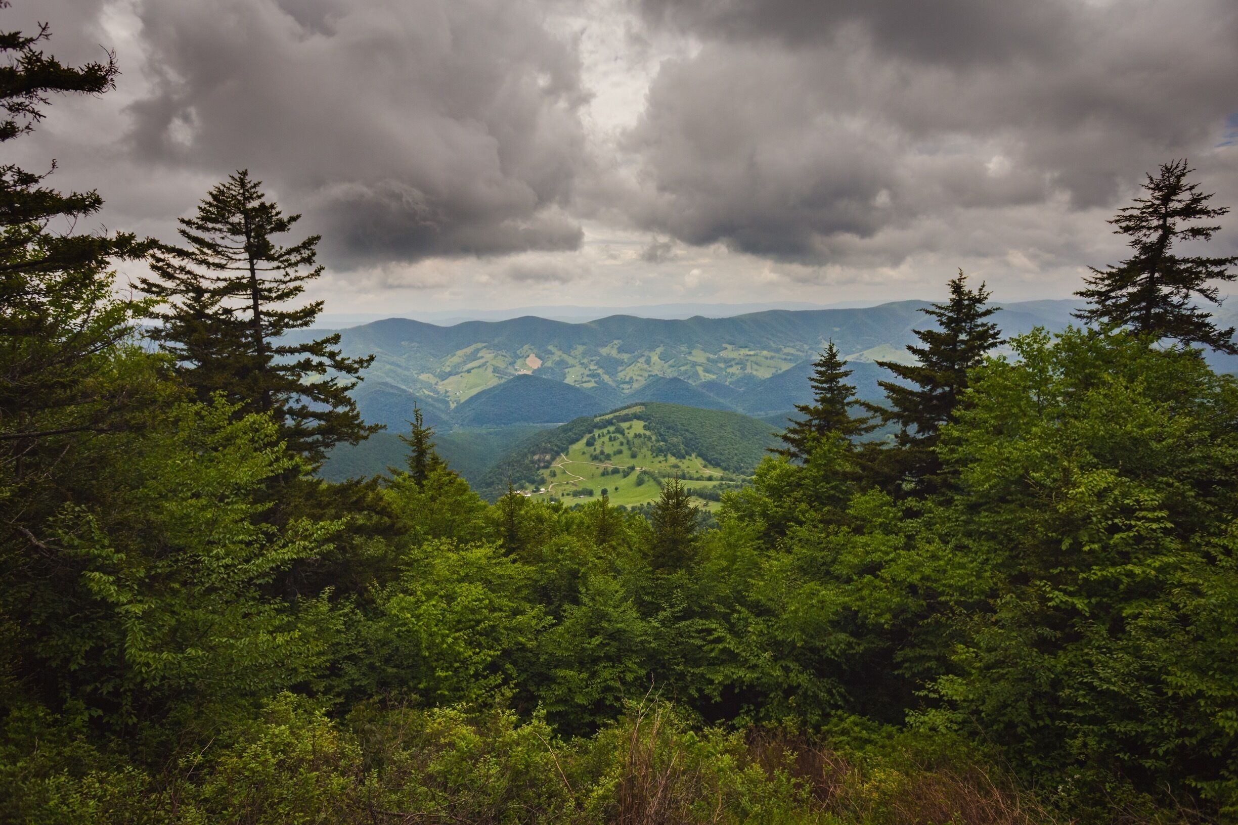 View from Spruce Knob. 