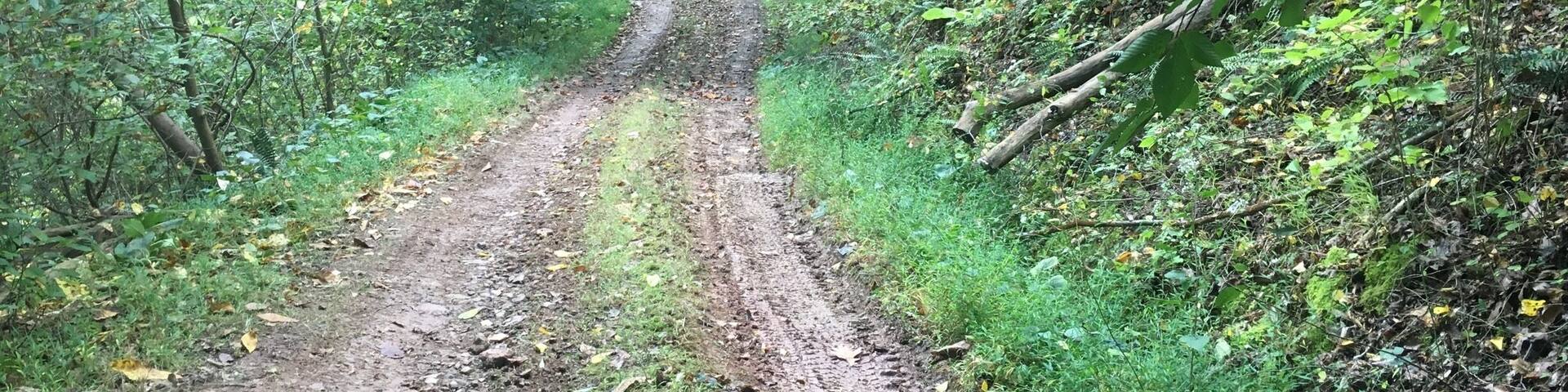 Charleston WV Field work 2017