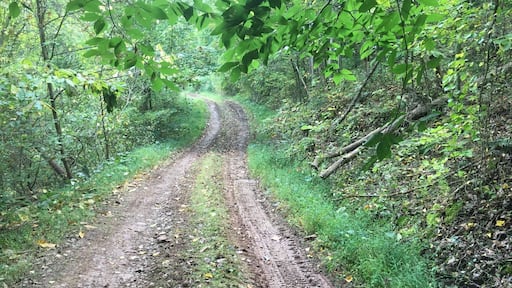 Charleston WV Field work 2017