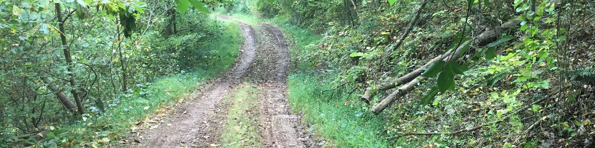 Charleston WV Field work 2017