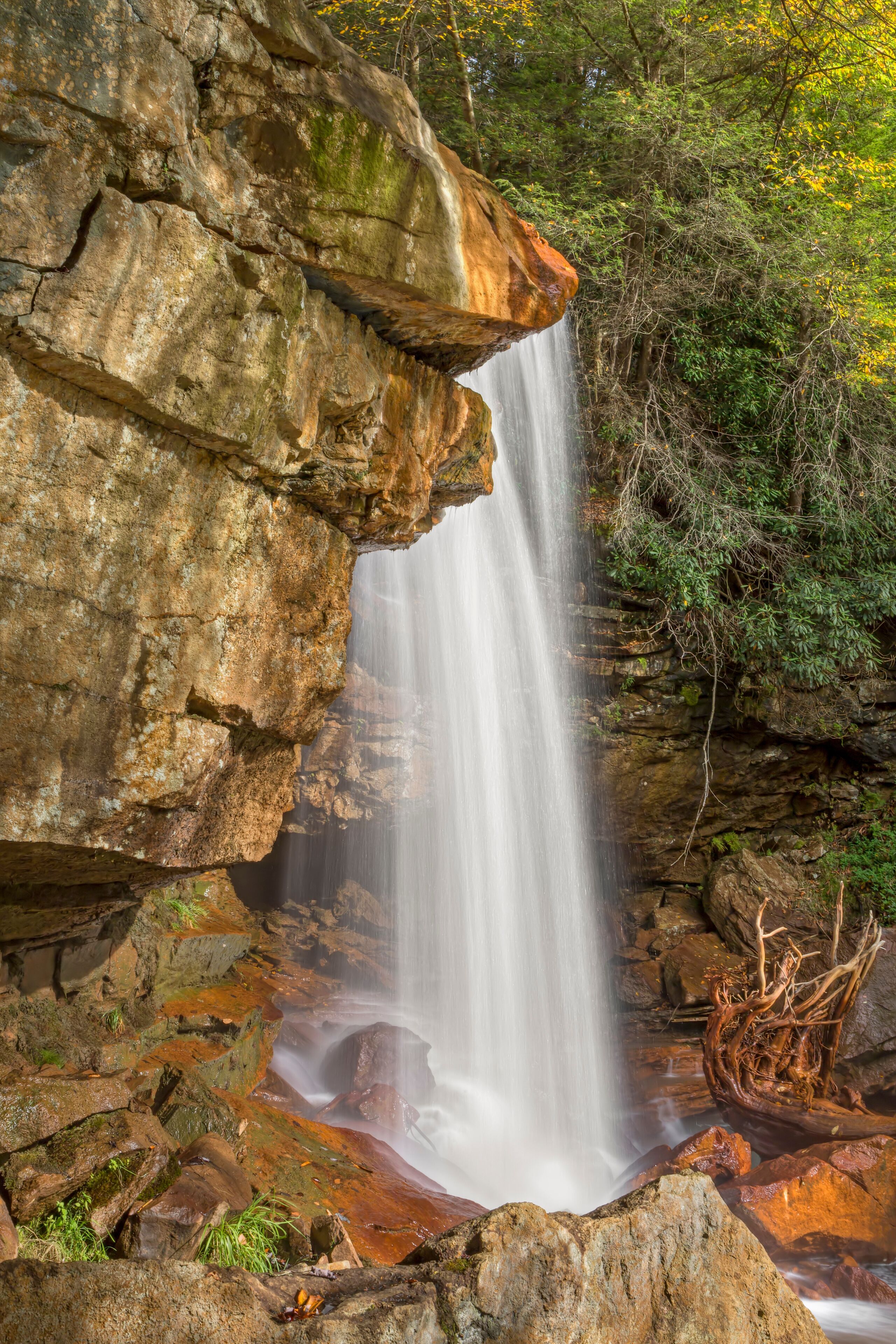 Douglas Falls Plunge - Thomas, West Virginia