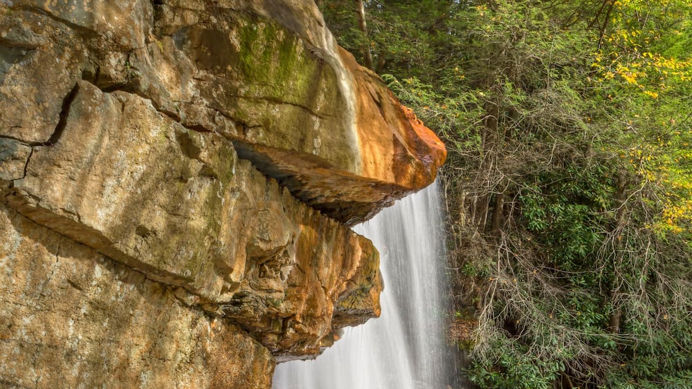 A waterfall cascading down a rocky cliff surrounded by greenery.