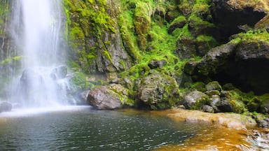 Chilling, like a villain, in a cool, cold spot in Ecuador