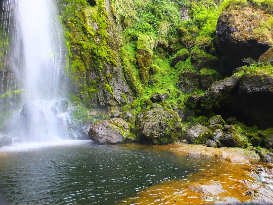 Chilling, like a villain, in a cool, cold spot in Ecuador