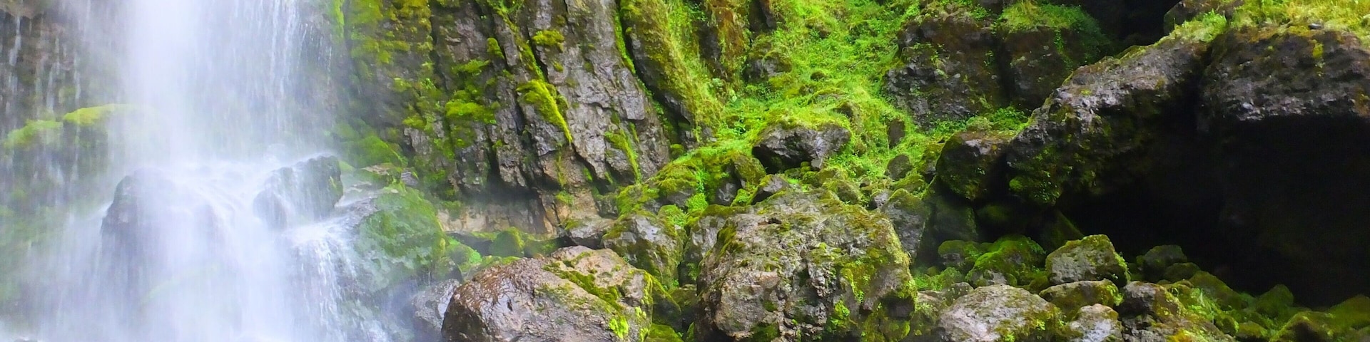 Chilling, like a villain, in a cool, cold spot in Ecuador