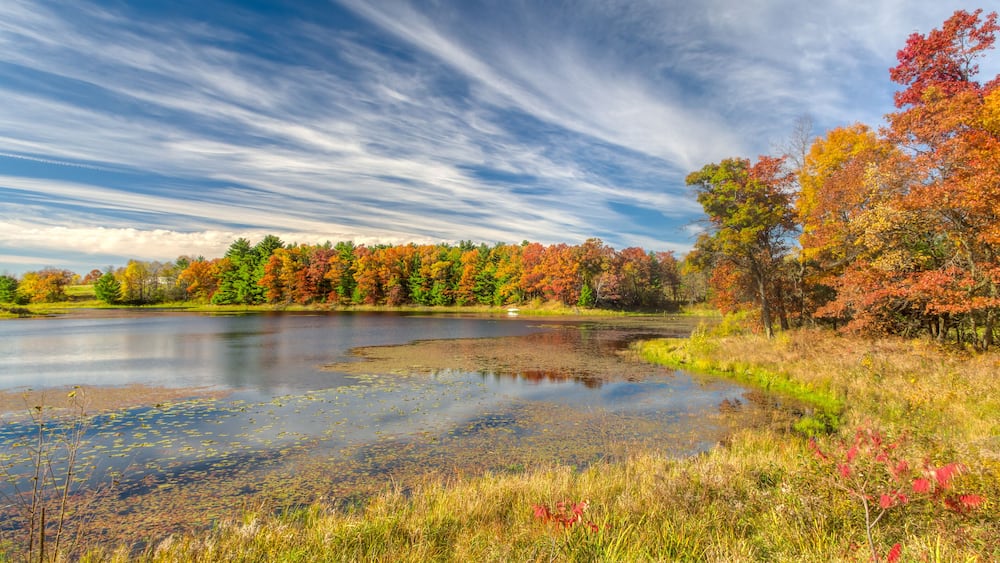 Autumn Lake in the American Midwest