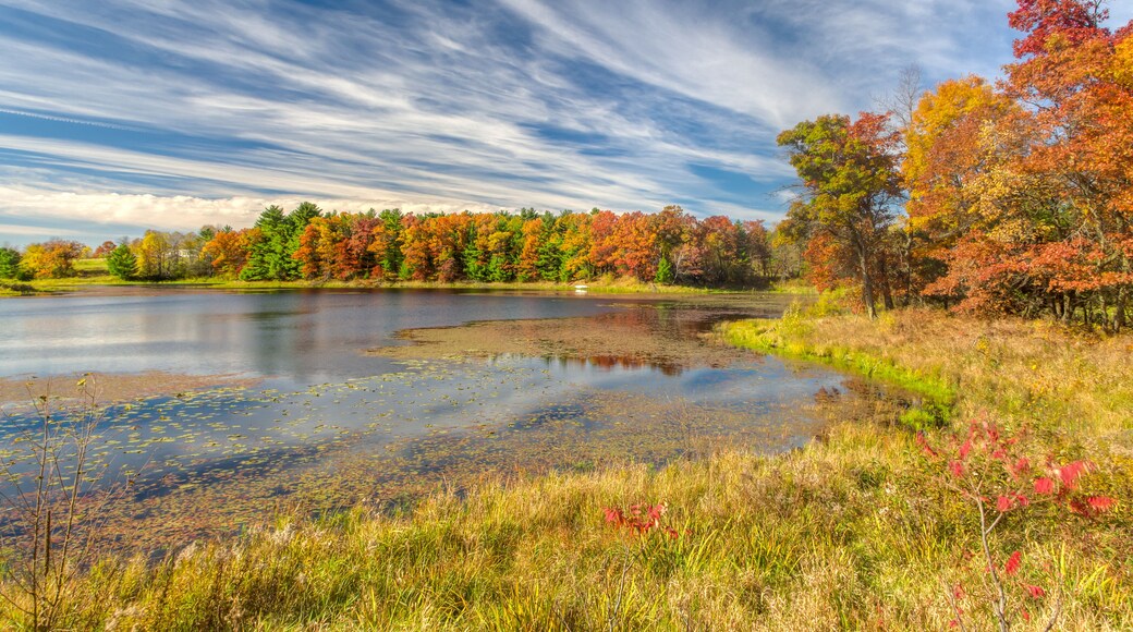 Autumn Lake in the American Midwest