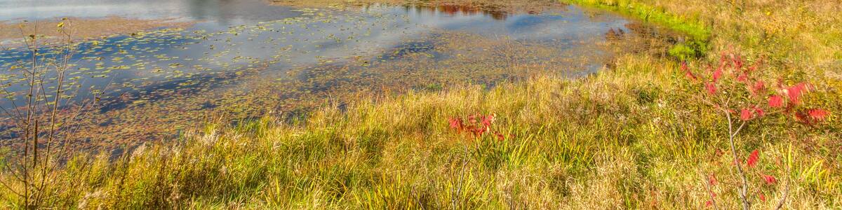 Autumn Lake in the American Midwest