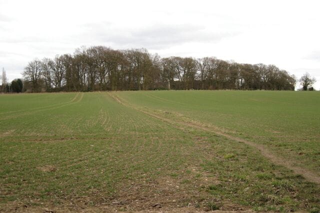 Footpath to the corner of Hatton Wood The nearest part of this small wood is in the square but most of it is in SP2367