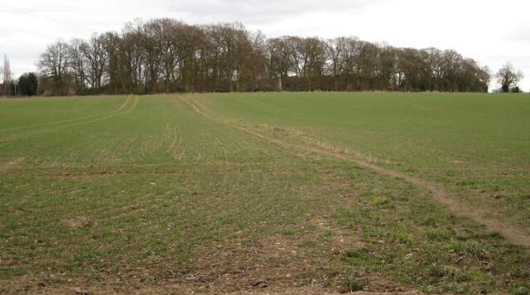 Footpath to the corner of Hatton Wood The nearest part of this small wood is in the square but most of it is in SP2367