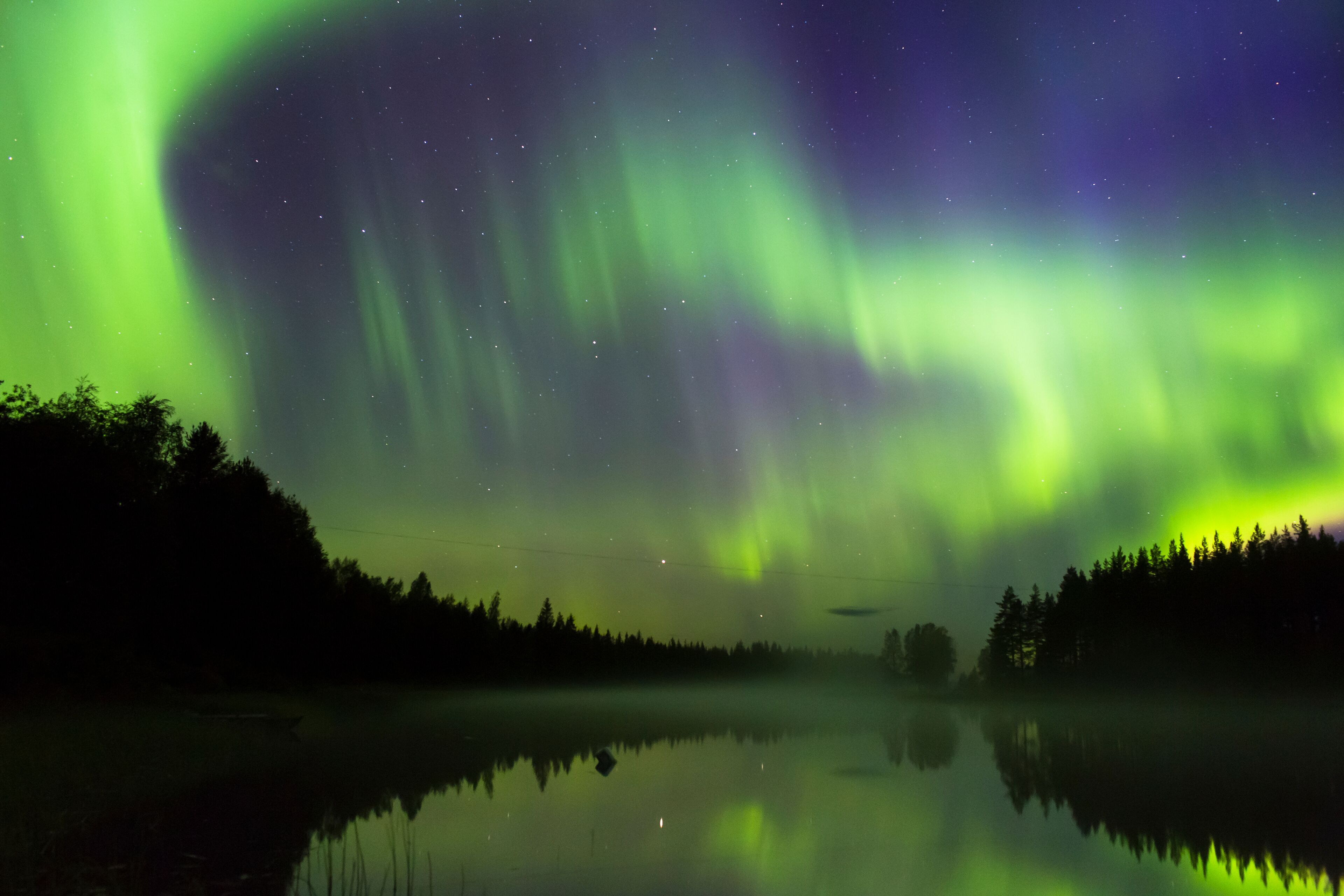 The Northern Lights over a calm lake with forested shores.