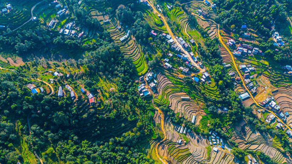 An aerial view of terraced rice fields with scattered houses and roads.