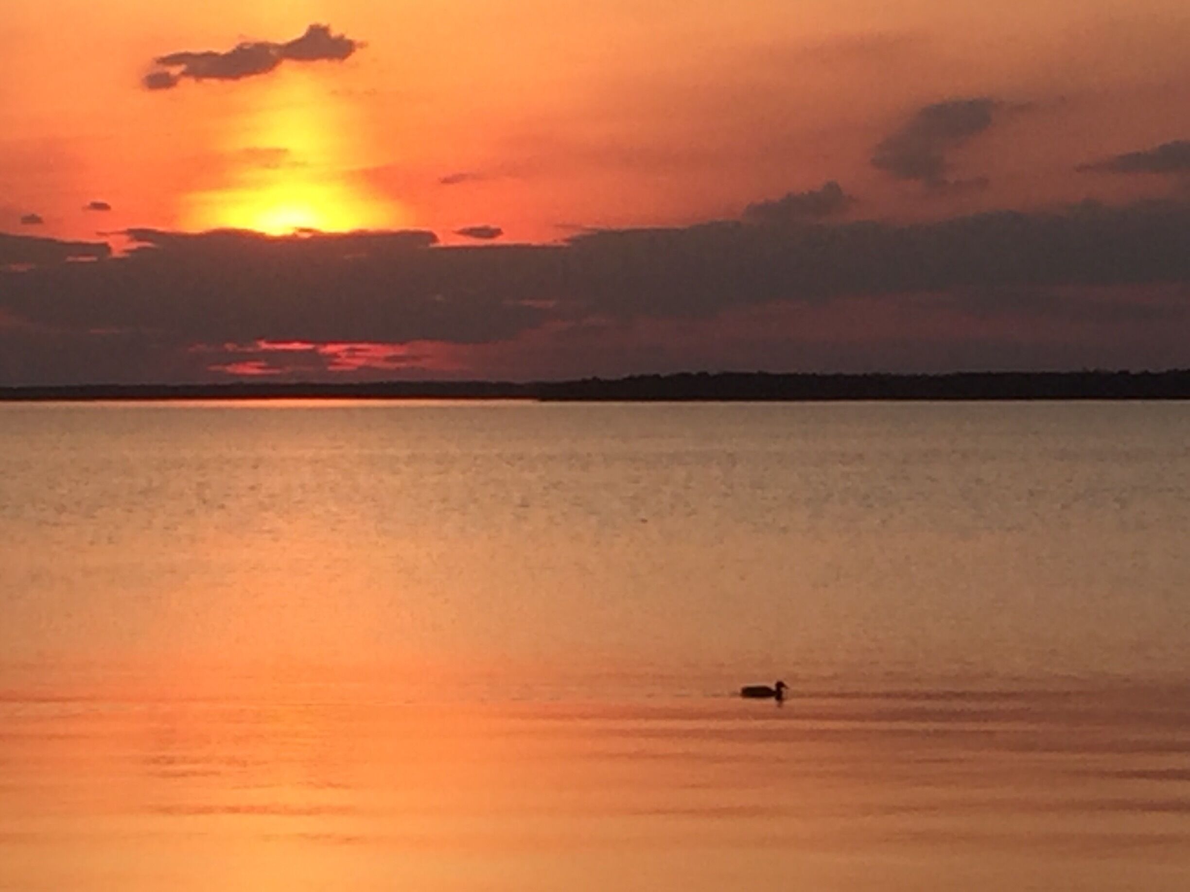 East shore of Green Bay, Wisconsin. 
