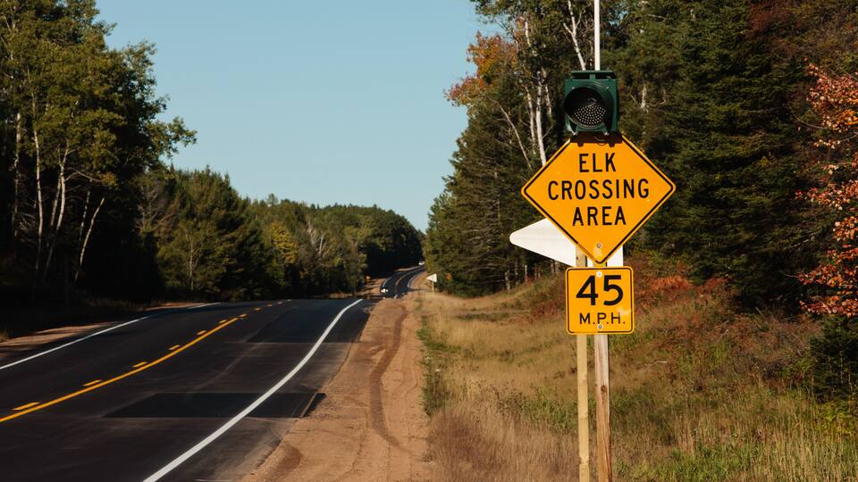 A road with a sign indicating an elk crossing area and a speed limit of 45 MPH.
