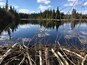 We found this cool beaver pond on a spring hike in the Chequamegon National Forest in northern Wisconsin. #SpringtimeFun